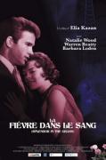 "La Fièvre dans le sang" d'Elia Kazan